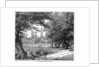 The Phoenix Park, Dublin by Anonymous