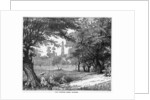 The Phoenix Park, Dublin by Anonymous