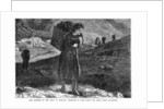 The Distress in the West Ireland: Bringing in Fuel from the Hills near Kylemore by Anonymous