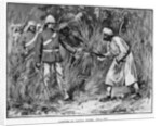 Capture of Tantia Topee by Anonymous