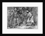 Capture of Tantia Topee by Anonymous