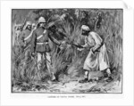 Capture of Tantia Topee by Anonymous