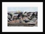 Herring industry, Port St Mary, Isle of Man by Anonymous