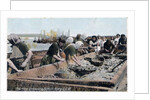 Herring industry, Port St Mary, Isle of Man by Anonymous
