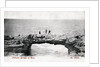 Natural Bridge of Ross, County Clare, Ireland by Anonymous