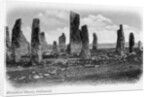 Druidical Stones, Callanish, Isle of Lewis, Western Isles, Scotland by Anonymous