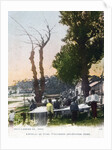 Lordelo do Ouro, near Porto, Portugal by Anonymous