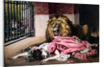 Caged Lion with sleeping woman by Anonymous