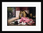Caged Lion with sleeping woman by Anonymous
