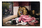 Caged Lion with sleeping woman by Anonymous