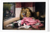 Caged Lion with sleeping woman by Anonymous