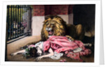 Caged Lion with sleeping woman by Anonymous
