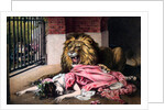 Caged Lion with sleeping woman by Anonymous
