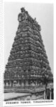 Pyramid Tower, Tiruchendur, Tamil Nadu, India by Anonymous