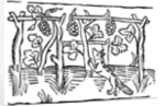 The Fox and the Grapes by Anonymous