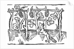 The Fox and the Grapes by Anonymous