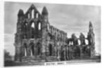 Whitby Abbey by Anonymous