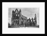 Whitby Abbey by Anonymous