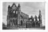 Whitby Abbey by Anonymous