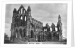 Whitby Abbey by Anonymous