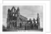 Whitby Abbey by Anonymous