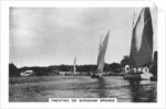 Yachting on Wroxham Broads by Anonymous