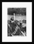 Dartmouth Castle by Anonymous