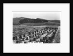 The Roman Wall, Housesteads, Northumberland by Anonymous