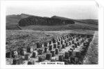 The Roman Wall, Housesteads, Northumberland by Anonymous