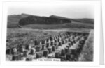 The Roman Wall, Housesteads, Northumberland by Anonymous