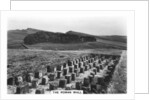 The Roman Wall, Housesteads, Northumberland by Anonymous