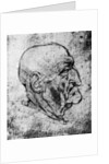 Head of an Old Man by Leonardo Da Vinci