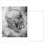 Head of an Old Man by Leonardo Da Vinci