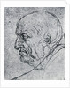 Head of an Old Man by Leonardo Da Vinci