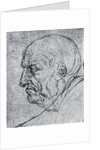 Head of an Old Man by Leonardo Da Vinci