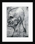 Head of an Old Man by Leonardo Da Vinci