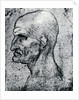 Head of an Old Man by Leonardo Da Vinci