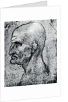 Head of an Old Man by Leonardo Da Vinci