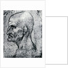 Head of an Old Man by Leonardo Da Vinci