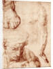 Studies for the figure of the cross-bearer in the Last Judgement, Sistine Chapel by Michelangelo Caravaggio