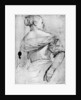 Study of a woman by Paolo Veronese