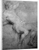 Study for the 'St Sebastian' by Anthony van Dyck