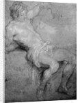 Study for the 'St Sebastian' by Anthony van Dyck