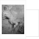 Study for the 'St Sebastian' by Anthony van Dyck