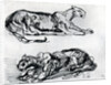 Studies of Panthers by Eugène Delacroix