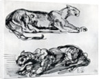 Studies of Panthers by Eugène Delacroix