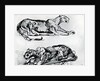 Studies of Panthers by Eugène Delacroix