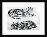 Studies of Panthers by Eugène Delacroix