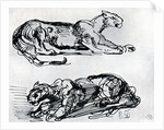 Studies of Panthers by Eugène Delacroix