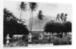 A navy landing party, St Kitts, West indies by Anonymous